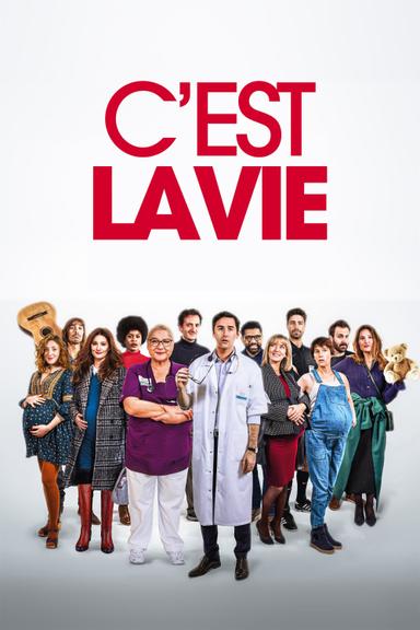 C'est la vie poster