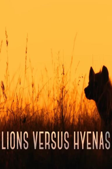 Lions versus Hyenas poster