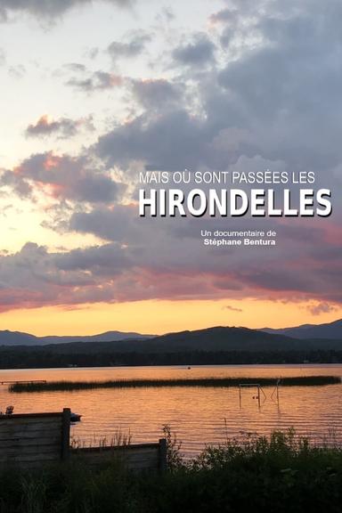 Où sont passées les hirondelles ? poster