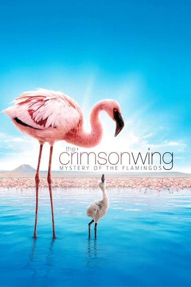 The Crimson Wing: Mystery of the Flamingos poster