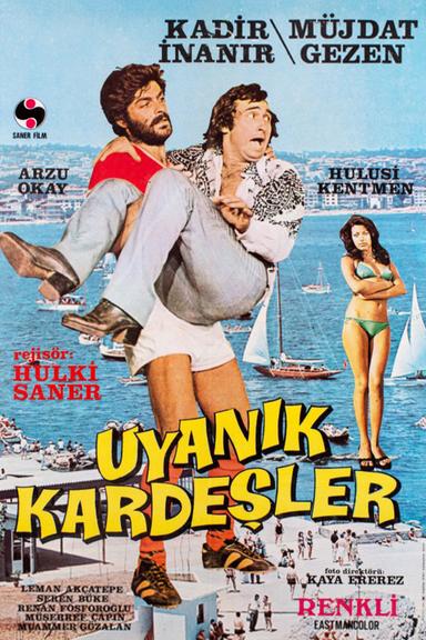 Uyanık Kardeşler poster