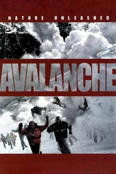 Nature Unleashed:  Avalanche poster