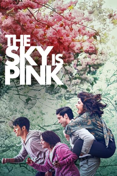 The Sky Is Pink poster