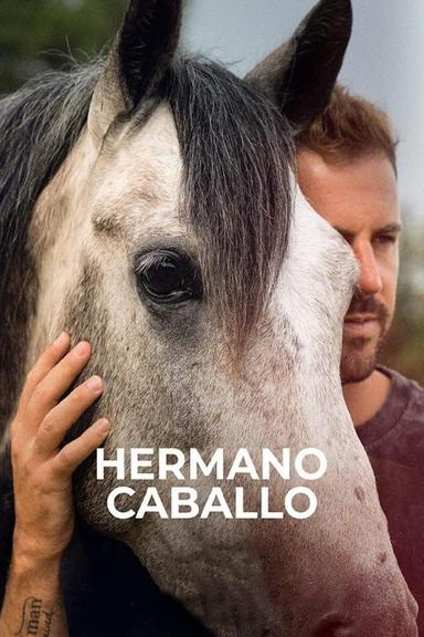 Hermano caballo poster