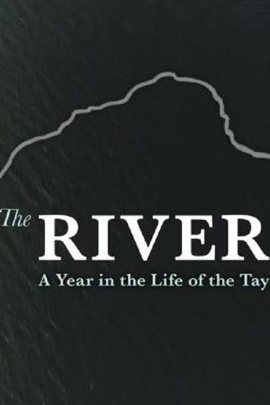 The River: A Year in the Life of the Tay poster