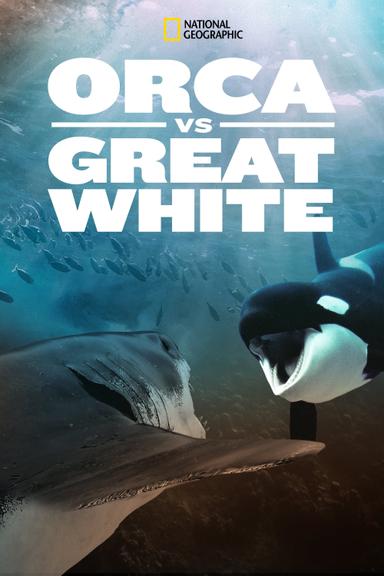 Orca Vs. Great White poster