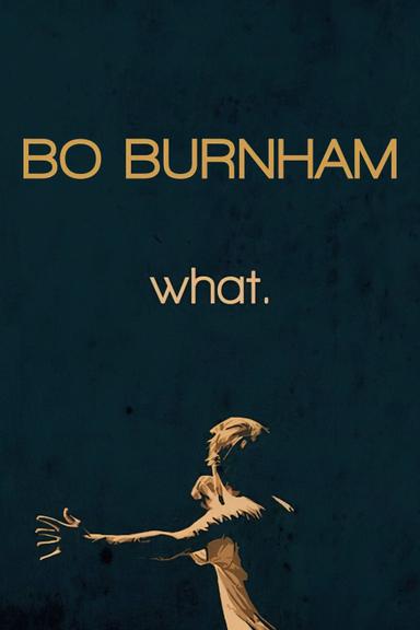 Bo Burnham: What. poster