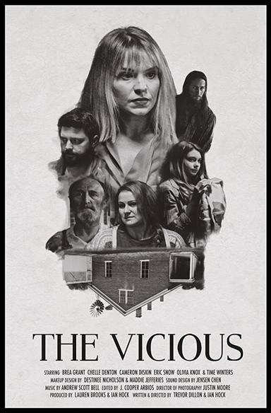 The Vicious poster