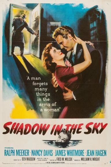 Shadow in the Sky poster