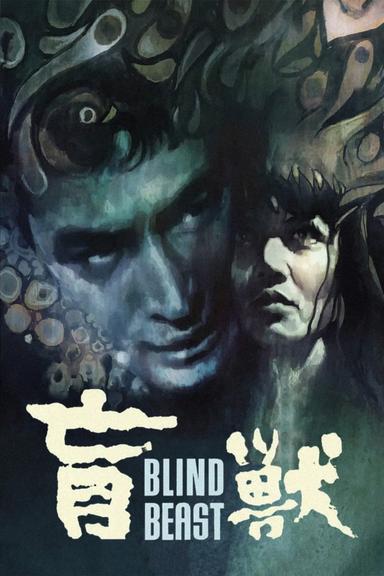 Blind Beast poster