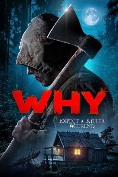 Why? poster