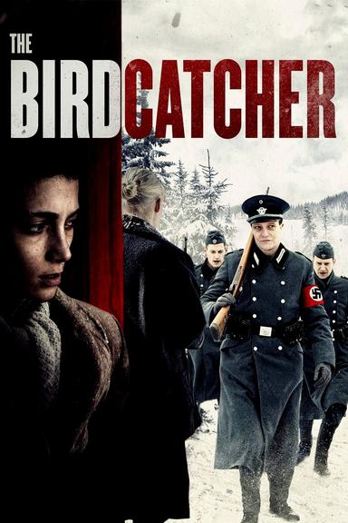 The Birdcatcher poster