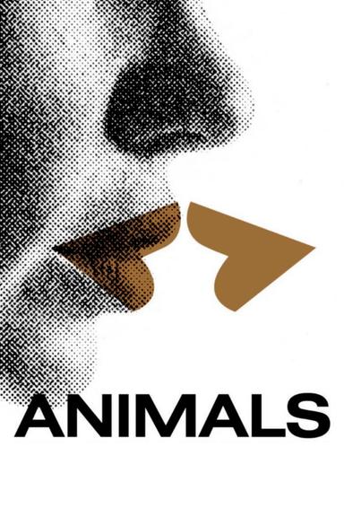 Animals poster