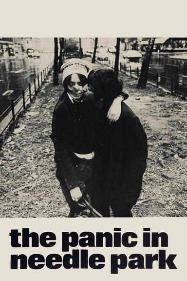 The Panic in Needle Park poster