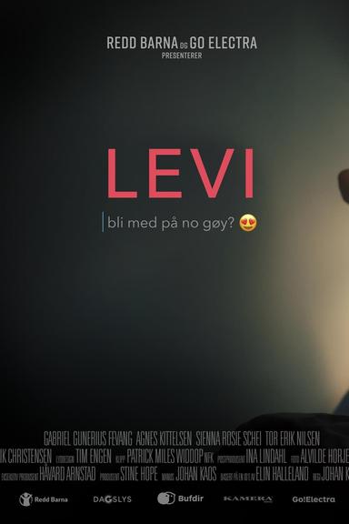 Levi poster