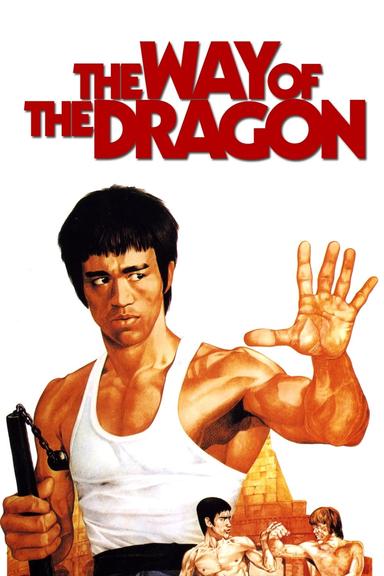 The Way of the Dragon poster