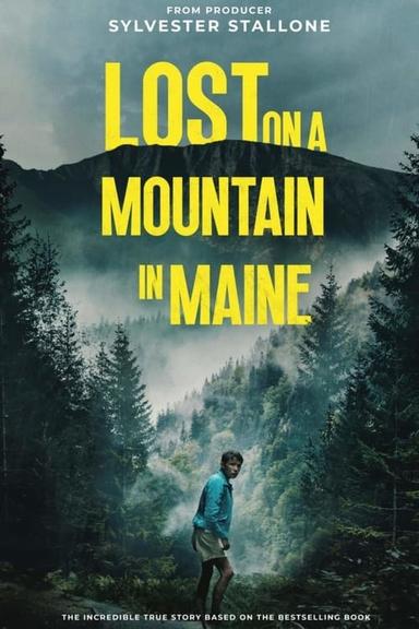 Lost on a Mountain in Maine poster