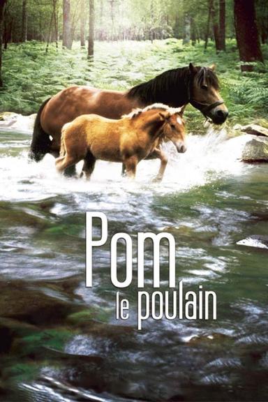 Pom, le poulain poster