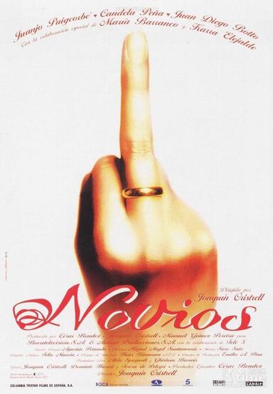 Novios poster