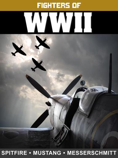 Fighters of WWII: Spitfire, Mustang, and Messerschmitt poster