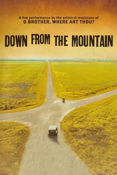 Down from the Mountain poster