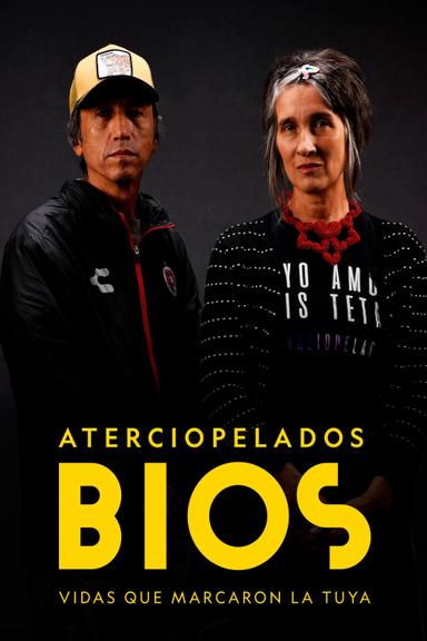 Bios, vidas que marcaron la tuya: Aterciopelados poster