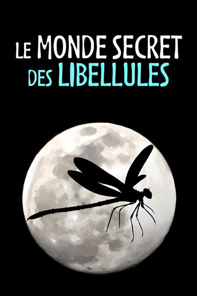 Le Monde secret des libellules poster