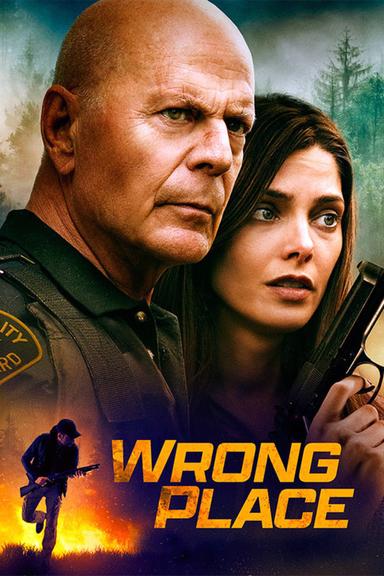 Wrong Place poster