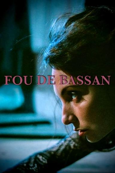 Fou de Bassan poster