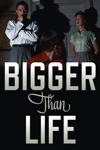 Bigger Than Life poster