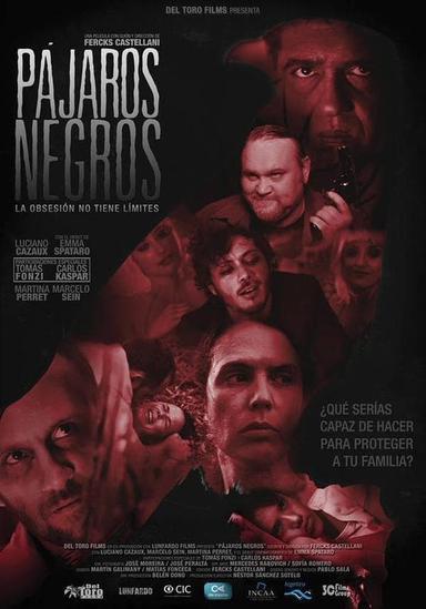 Pájaros negros poster