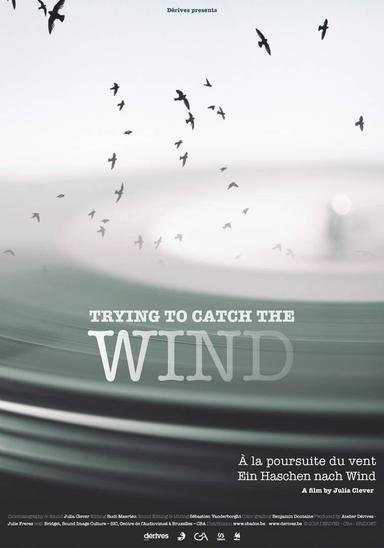 Trying to Catch the Wind poster