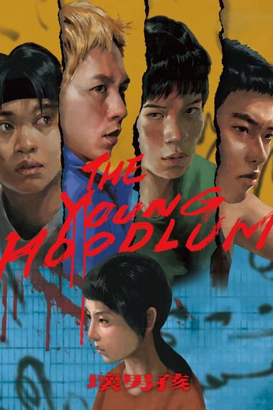 The Young Hoodlum poster