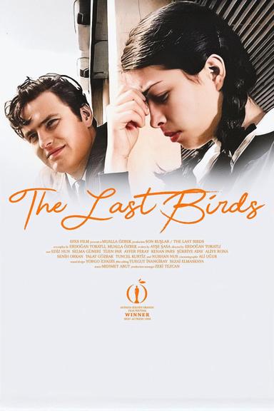 The Last Birds poster