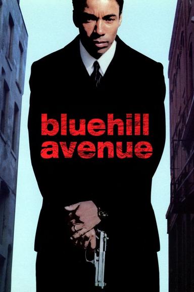 Blue Hill Avenue poster