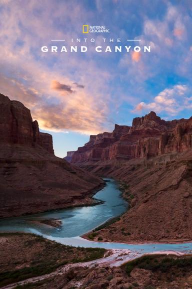 Into the Grand Canyon poster