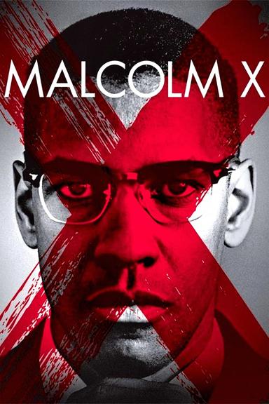 Malcolm X poster