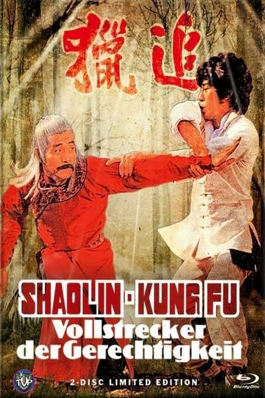 Shaolin Kung Fu Master poster