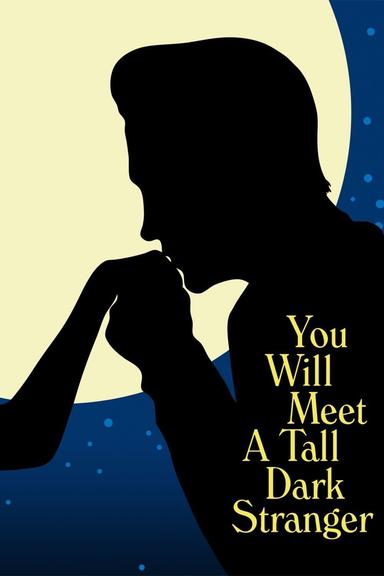 You Will Meet a Tall Dark Stranger poster