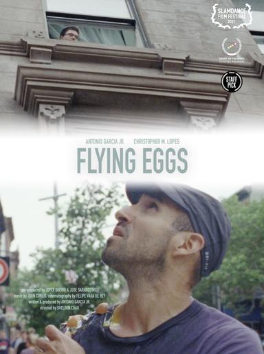 Flying Eggs poster