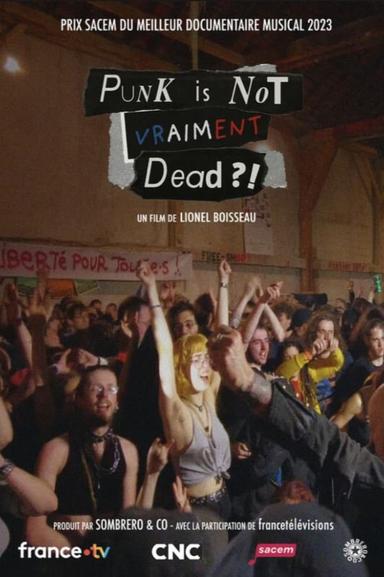 Punk is not vraiment dead ?! poster