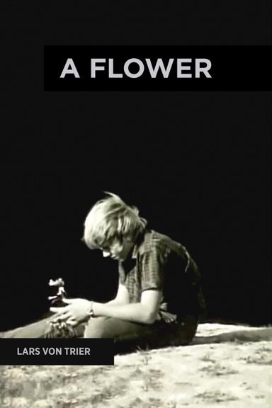 A Flower poster