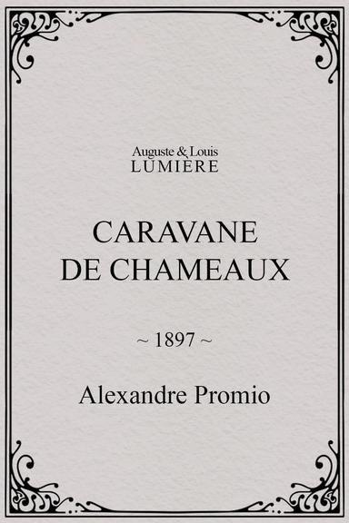 Caravane de chameaux poster