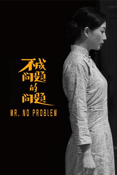 Mr. No Problem poster