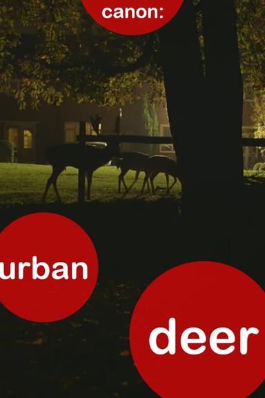 Canon: Urban Deer poster