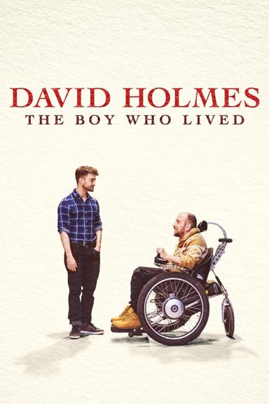 David Holmes: The Boy Who Lived poster