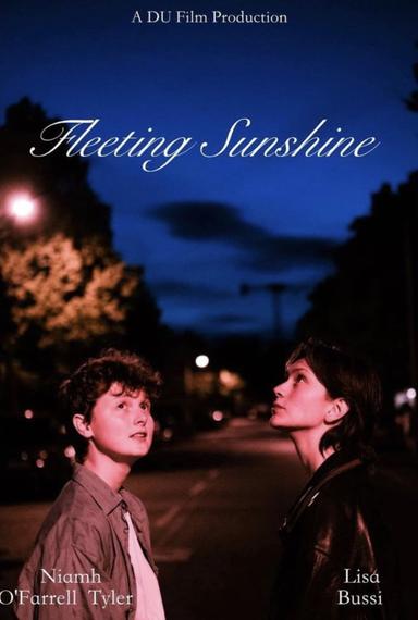 Fleeting Sunshine poster