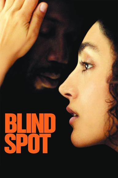 Blind Spot poster