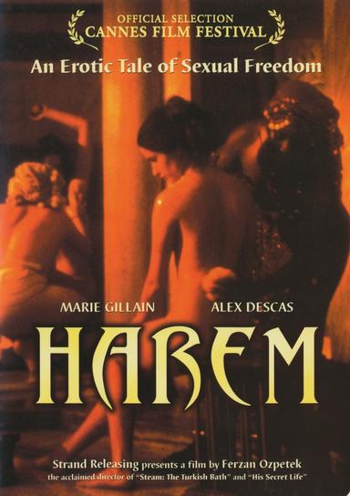 Last Harem poster