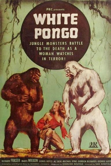 White Pongo poster